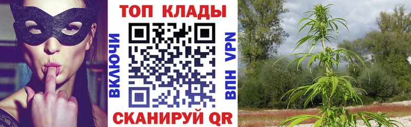 Сколько стоит Курган Альфа ПВП Амфетамин НБОМе МАРИХУАНА ГАШИШ Кокаин Меф мяу мяу