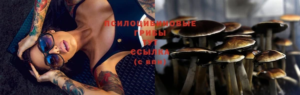 ешки Алексин