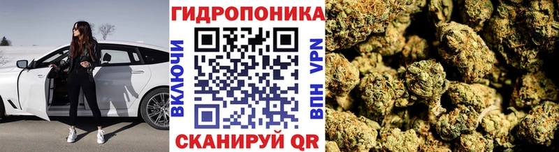 Бошки Шишки ГИДРОПОН  blacksprut зеркало  Курган 